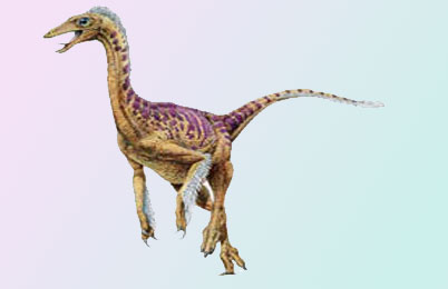 Dromiceiomimus Dinosaur