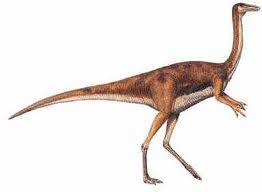 gallimimus_dino