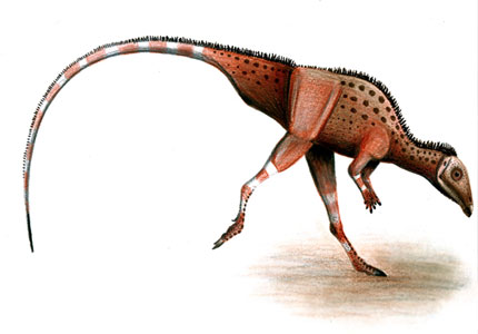 Hexinlusaurus