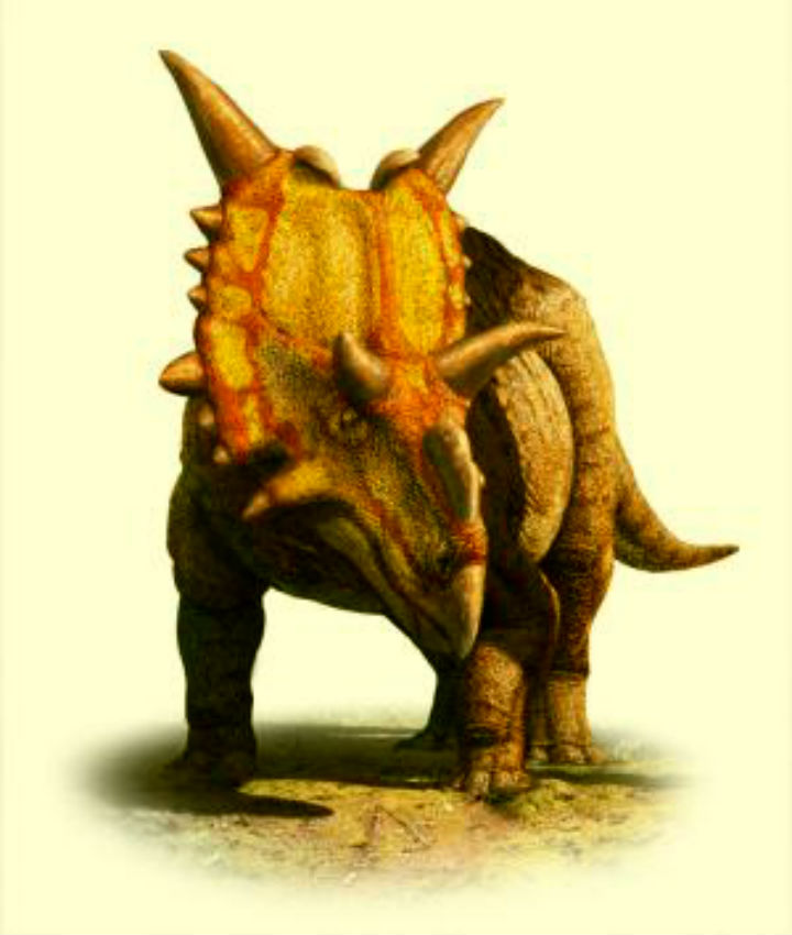 Xenoceratops dinosaur