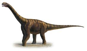 Abrosaurus dinosaurs