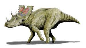 Agujaceratops dinosaurs