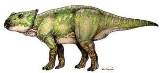 Ajkaceratops dinosaurs  