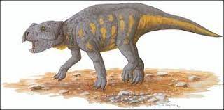 Ajkaceratops dinosaurs