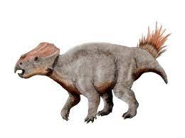 Ajkaceratops dinosaurs