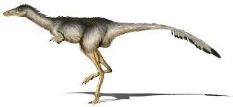 Albertonykus  dinosaurs 