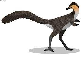 Albertonykus dinosaurs