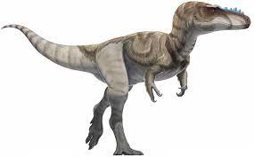 Alioramus Carnivorous Theropod Dinosaur Lived Asia Cretaceous