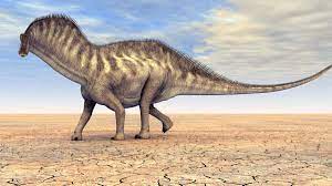  Amargasaurus dinosaurs