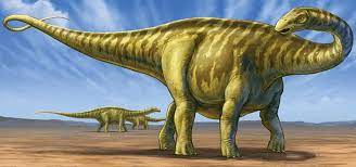  Amazonsaurus dinosaurs 