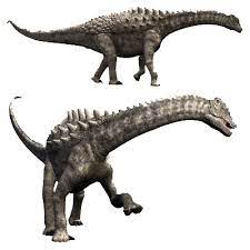  Ampelosaurus dinosaurs
