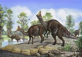  Amurosaurus dinosaurs
