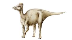Amurosaurus dinosaurs