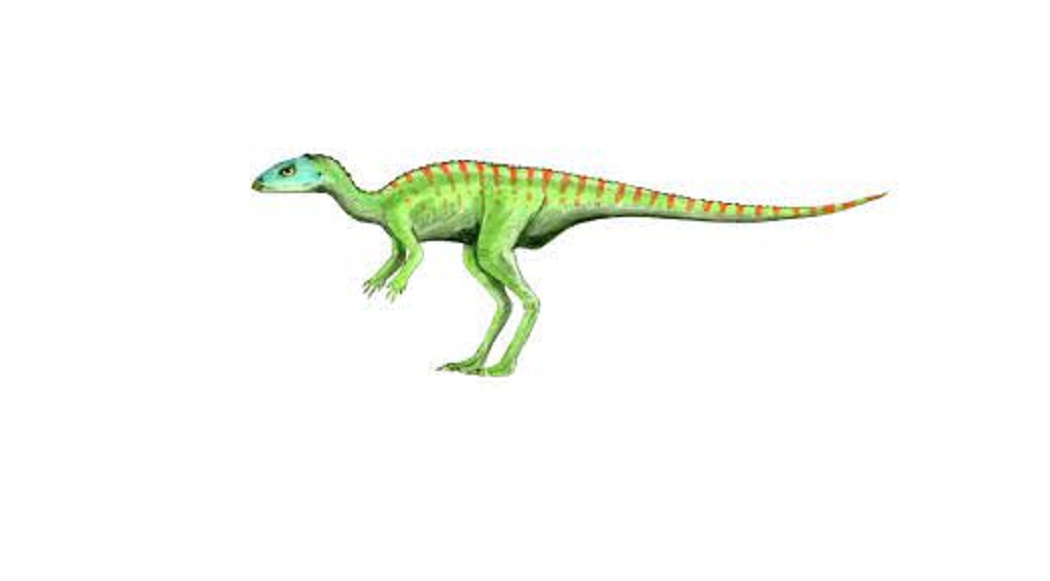 Anabisetia dinosaurs