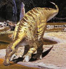  Anatotitan dinosaurs