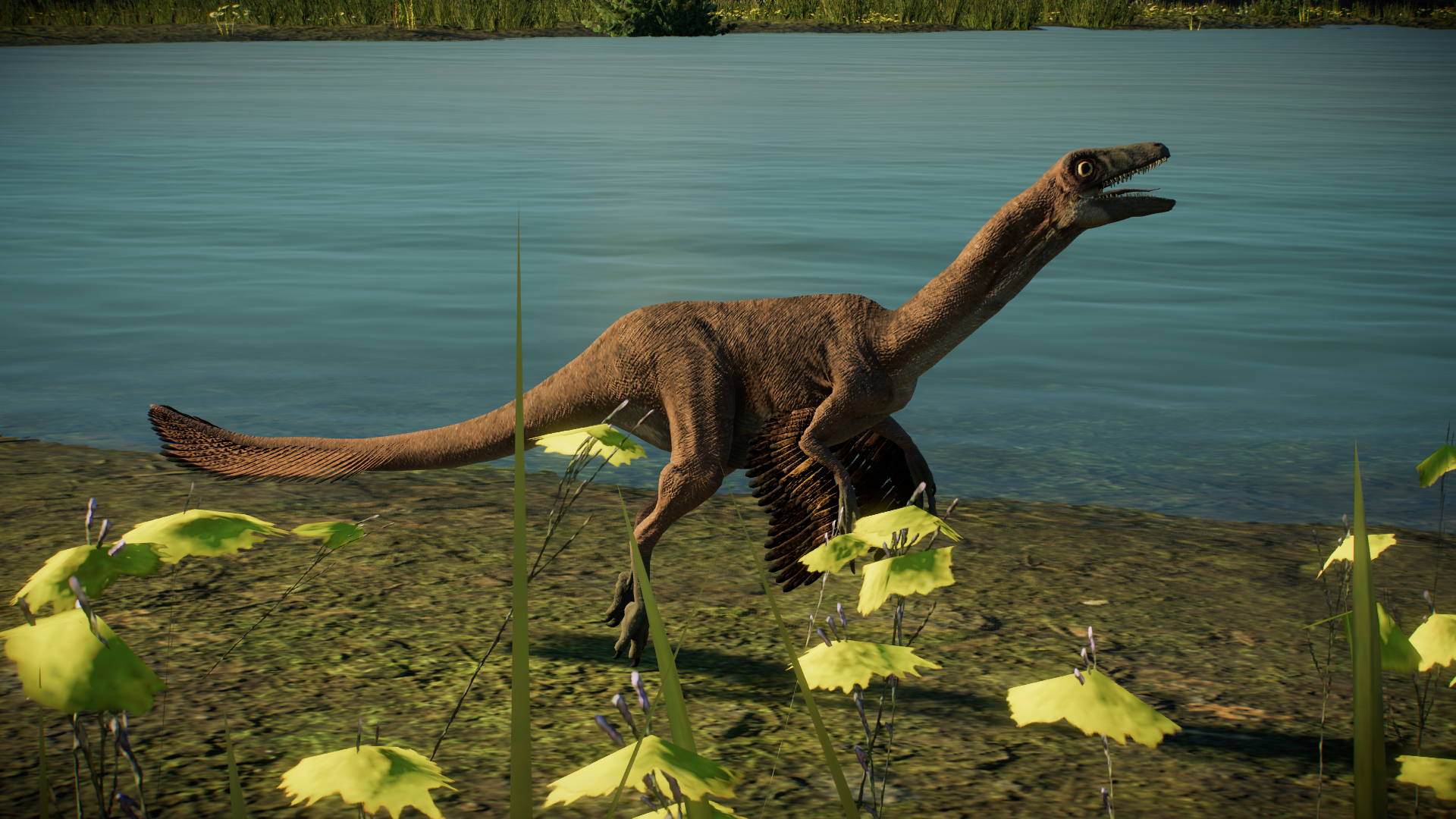 Anchiceratops dinosaurs 