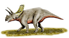  Anchiceratops dinosaurs 