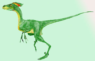 Bambiraptor Dinosaur