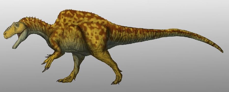 Becklespinax dinosaurs 