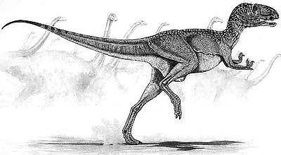 Berberosaurus  dinosaurs 