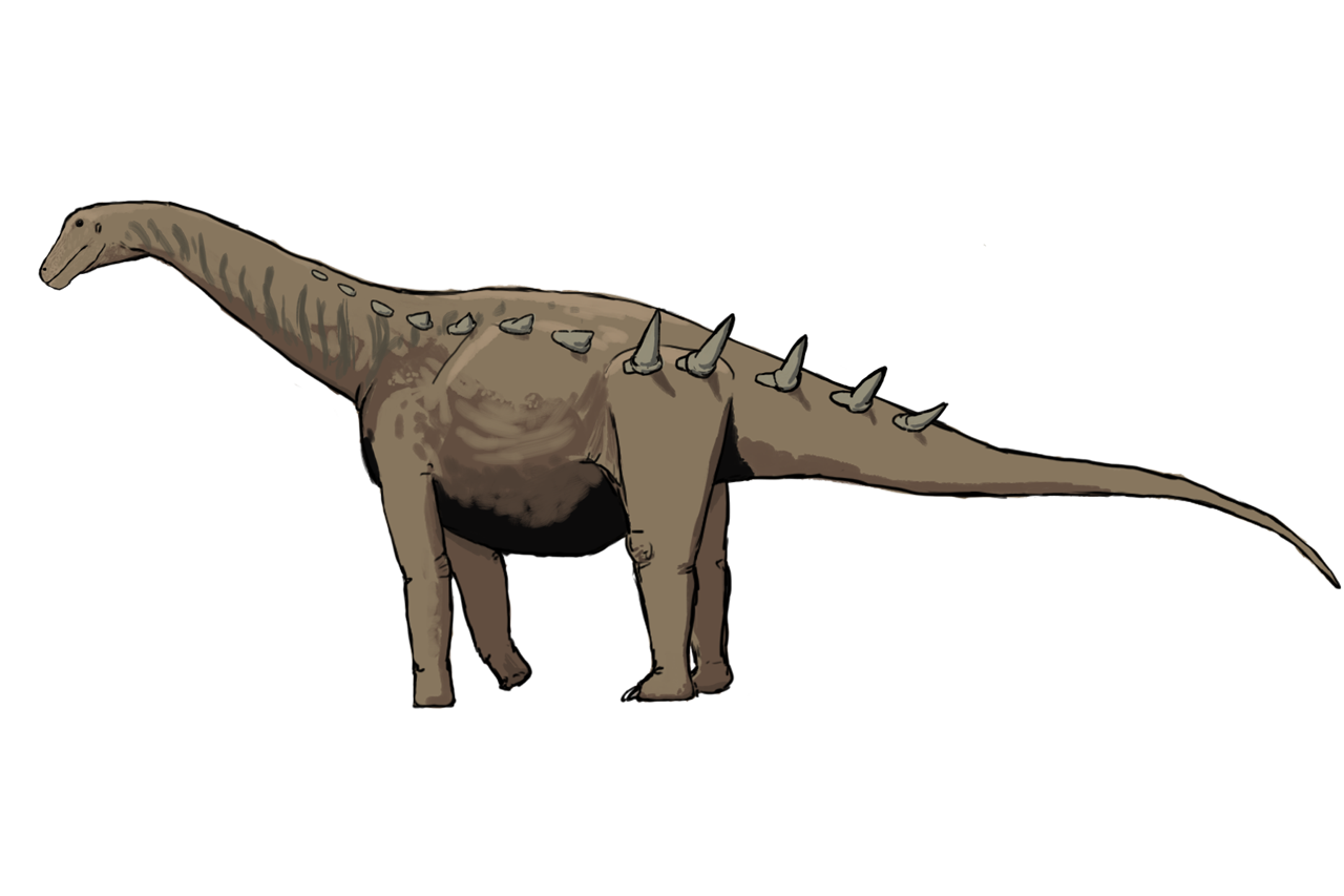 Bonitasaura dinosaurs 