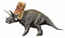 Bravoceratops dinosaurs 