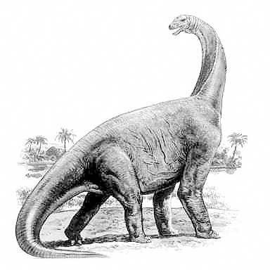 Cetiosauriscus dinosaurs