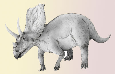 Chasmosaurus Dinosaur