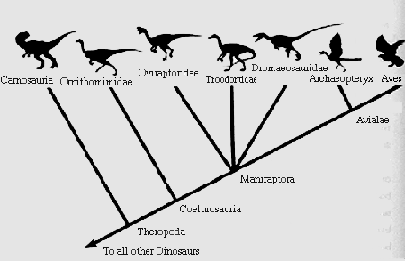 Type of Dinosaurs