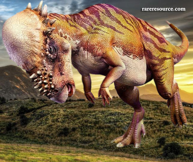 pachycephalosaurus.jpg