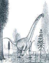futalogkosaurus_dino_rare