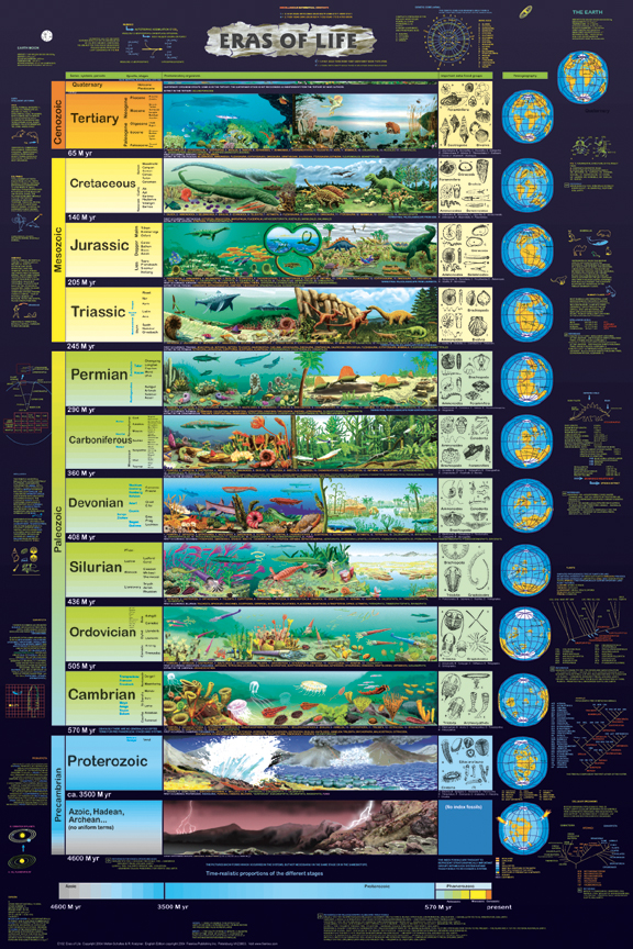 Evolution Of Dinosaur