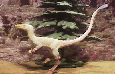 Sinosauropteryx Dinosaur 