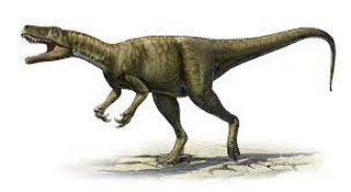herrerasaurus
