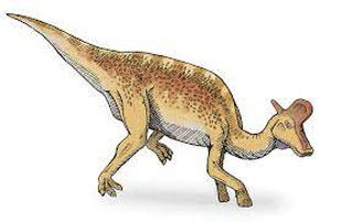 lambeosaurus