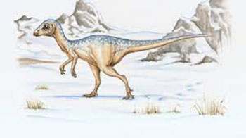 leaellynasaura