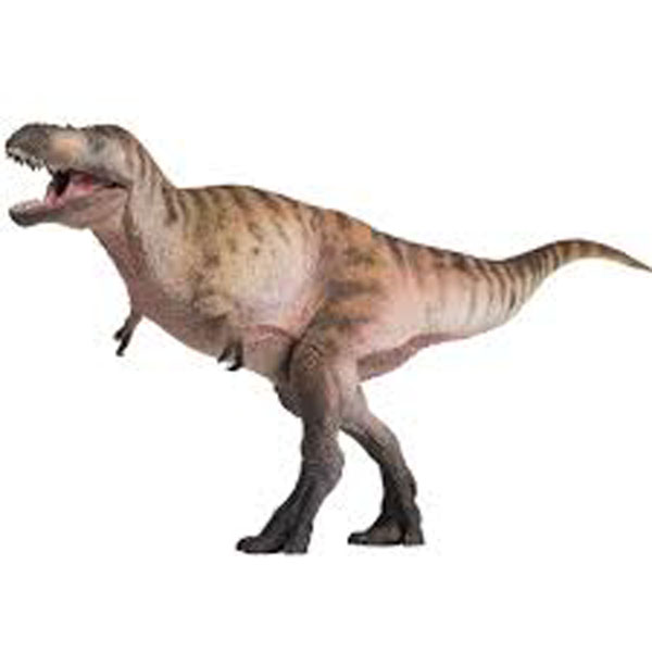 Nanotyrannus Dinosaur on the Run Stock Illustration - Illustration of  isolated, extinct: 47935822