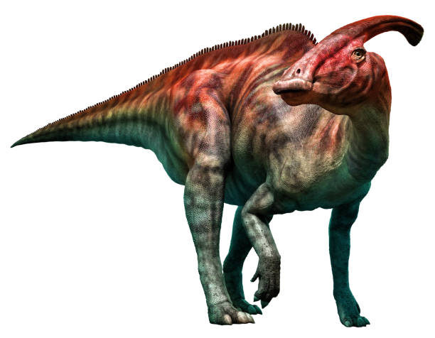 Ornithopods Dinosaur, facts | information - Ornithopod classification