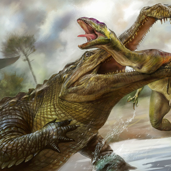 sarcosuchus vs deinosuchus