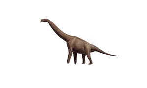 sauropodomorphas
