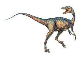 troodon