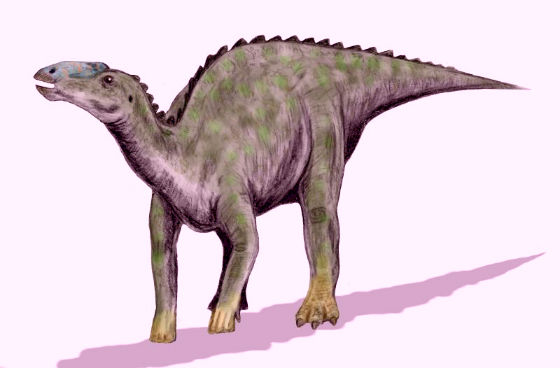 Kritosaurus Dinosaur Facts Information Kritosaurus Challengeri