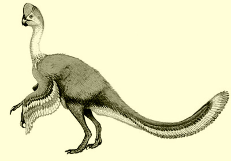 Rinchenia Dinosaur