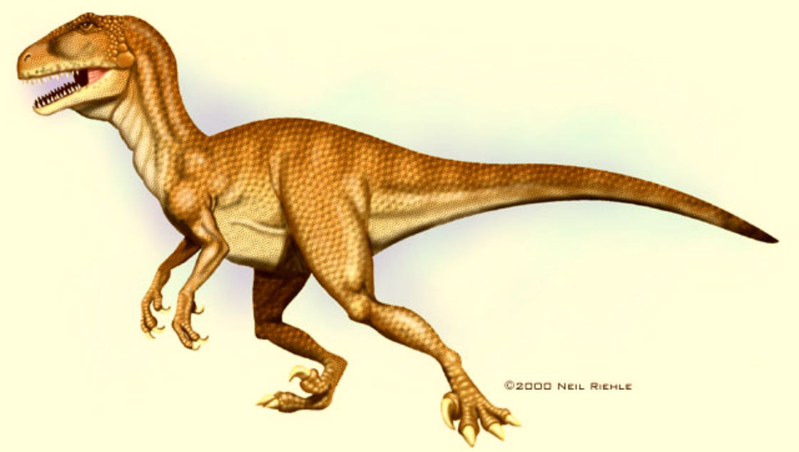 Deinonychus Dinosaur. 