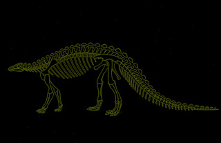 scelidosaurus fossil