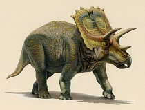 Anchiceratops dinosaur