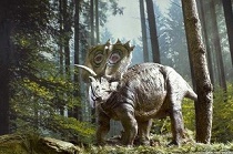 Anchiceratops dinosaur