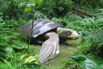 archelon dinosaur