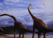 Brachiosaurus dinosaur