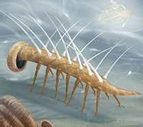 burgess-shale dinosaur